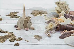 Variety of seashells, corals, shell, starfish, on white background