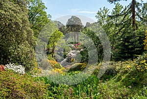 Shrubs and trees, including colourful rhododendrons, growing in The Dell, by the lake at Leonardslee Gardens, Sussex UK photo