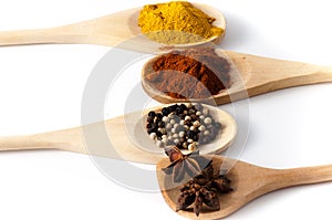 Variety of spices and aromatic herbs