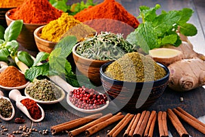 Variety of spices and herbs photo