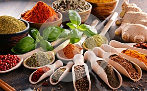 Variety of spices and herbs photo