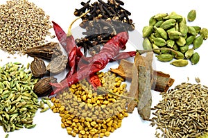 Variety of spices for kitchen