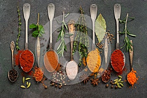 A variety of spices in spoons and herbs on a dark rustic background. Top view, flat lay photo