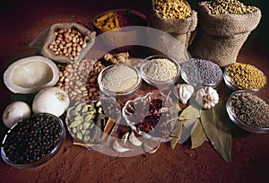 Variety of spices used in curries & other Indian dishes, India Asia