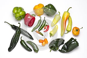 Variety, spicy and coloured chilies, of different sizes photo