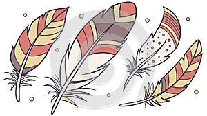 Variety of Stylized Feathers, Decorative Natural Elements Vector, vector design Generative AI