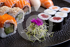 Variety of sushi