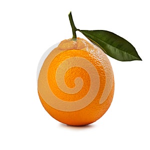 Arancia tarocco ippolito