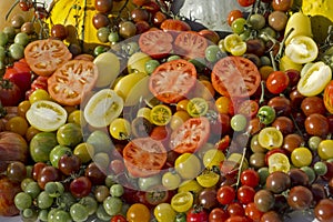 Variety tomatoes