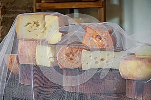 Variety of traditional cheese in a cheese farm store