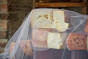 Variety of traditional cheese in a cheese farm store