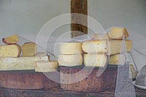 Variety of traditional cheese in a cheese farm store