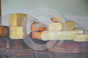 Variety of traditional cheese in a cheese farm store