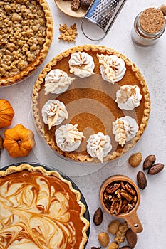 Variety of traditional Thanksgiving pies on light background