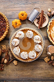 Variety of traditional Thanksgiving pies on light background