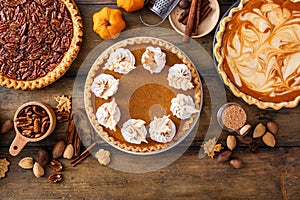 Variety of traditional Thanksgiving pies on light background