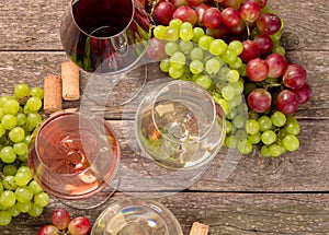 Variety of wine and snack set. Different types of grapes. Fresh ingredients on wooden background