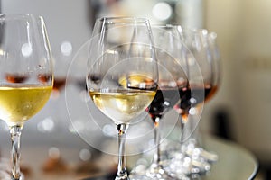 Variety of wines during wine tasting in the winery in Portugal photo