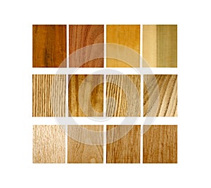 Variety of wood samples