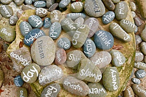 Variety of words painted on stones in a pile