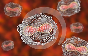 Variola virus illustration