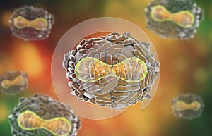 Variola virus illustration