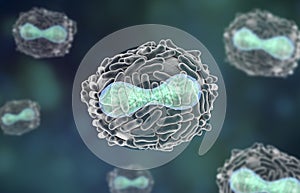 Variola virus illustration photo