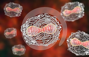 Variola virus illustration photo