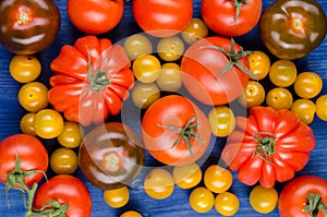 Varios sorts of tomatos photo