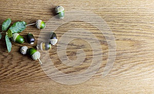 Various acorns on a cedr plank as a background decoration for the holiday