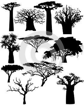 Various African trees - vector