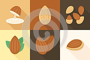 Various almond nuts in flat style on warm color background