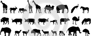Various animals silhouettes