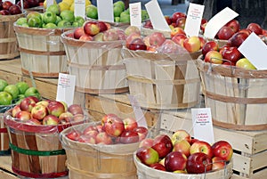 Various Apples