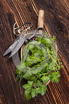 Various aromatic culinary herbs, rustic style.