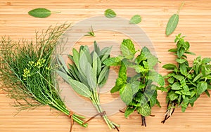 Various aromatic herbs and spices from garden green mint ,fenne