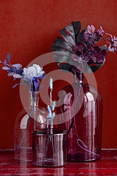 Various artificial flowers and dry plants in transparent vases on the floor against red wall