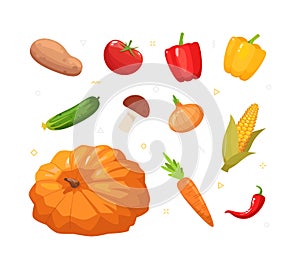 Various autumnal vegetables semi flat RGB color vector illustration set