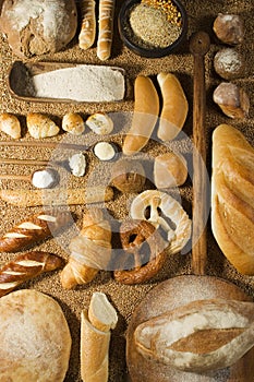 Various bakery on wheat background