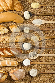 Various bakery on wheat background