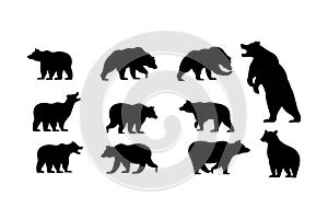 various bear silhouettes on the white background, bear icon set