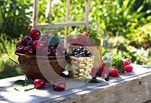 Various berries black currants raspberry cherries. On garden background berries .