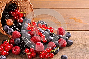 Various berries, raspberries, blueberries, currants, blackberries fall out of a basket on a brown wooden table