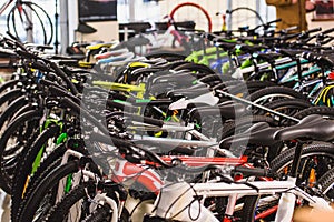 various bicycles displayed