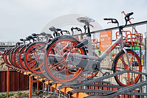 Various bicycles on a rack, available for rent