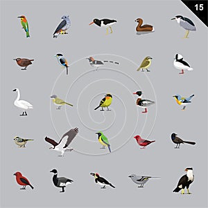 Various Birds Cartoon Vector Illustration 15