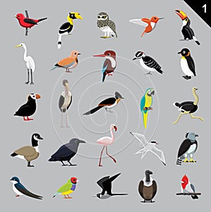 Varios observación de aves diseno de pintura ilustraciones 1 