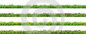 Various borders of green grass, dandelions and clovers, isolated on white background. 3D render.