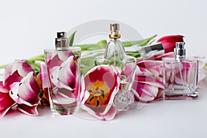 Various bottles of perfume
