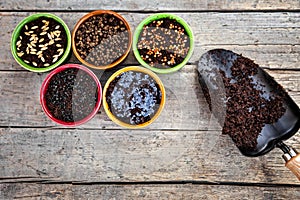 Various bowls with watered microgreens like radish or barley in it